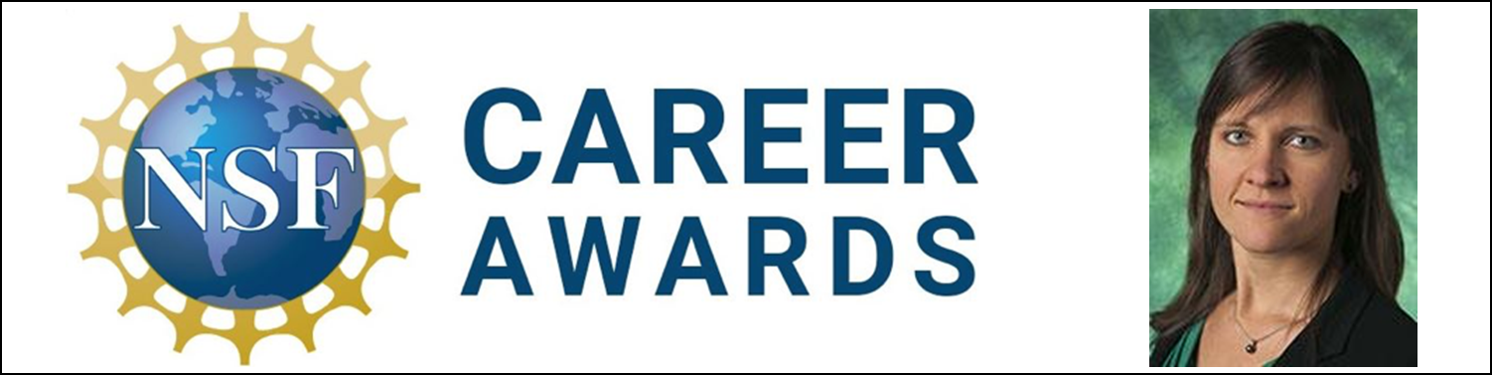 2020_berman_career_award.png